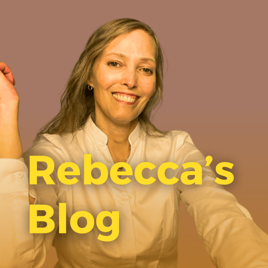 Window and back door